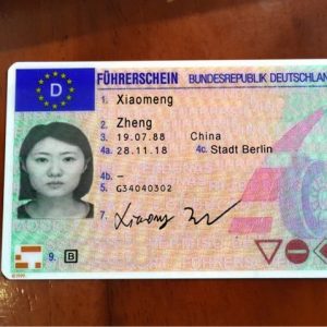 driving license in Germany